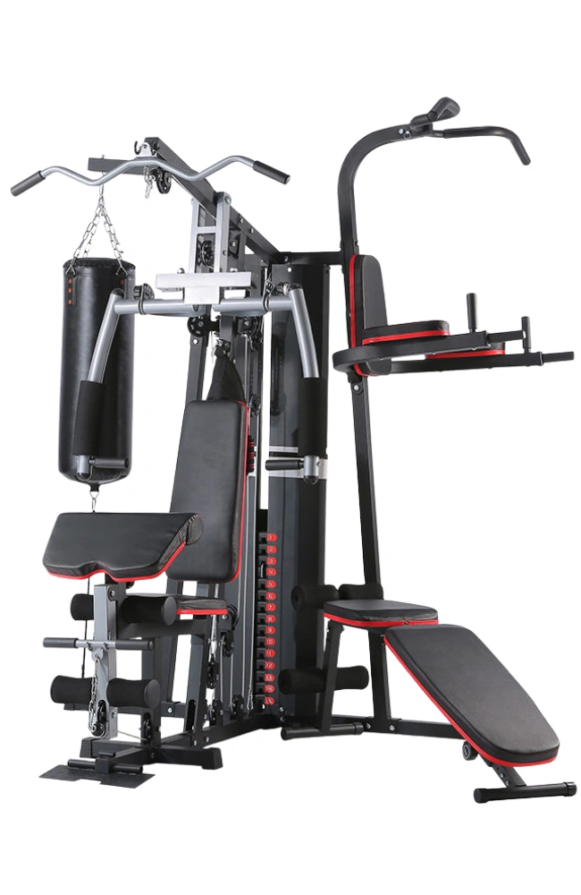 Gym Equipment untitled design 2025 11 28t120321.948