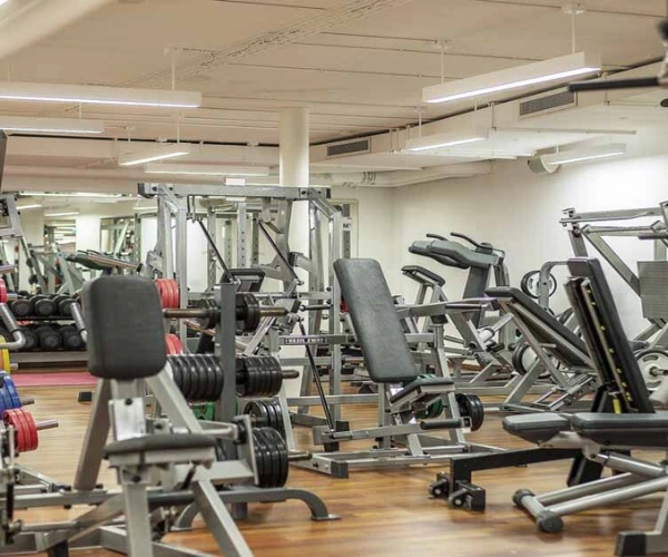 Leading Gym Equipment Manufacturer in Pune untitled design 2025 12 02t115546.057