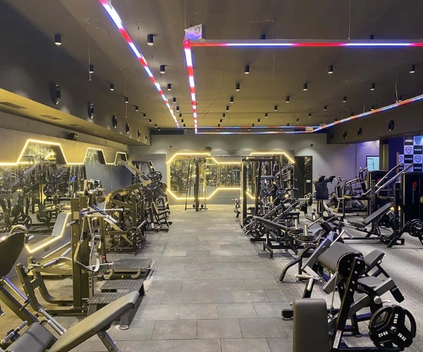 Premium Fitness Equipment for Home & Commercial Gyms untitled design 2025 12 02t115843.700