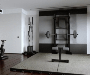Premium Fitness Equipment for Home & Commercial Gyms